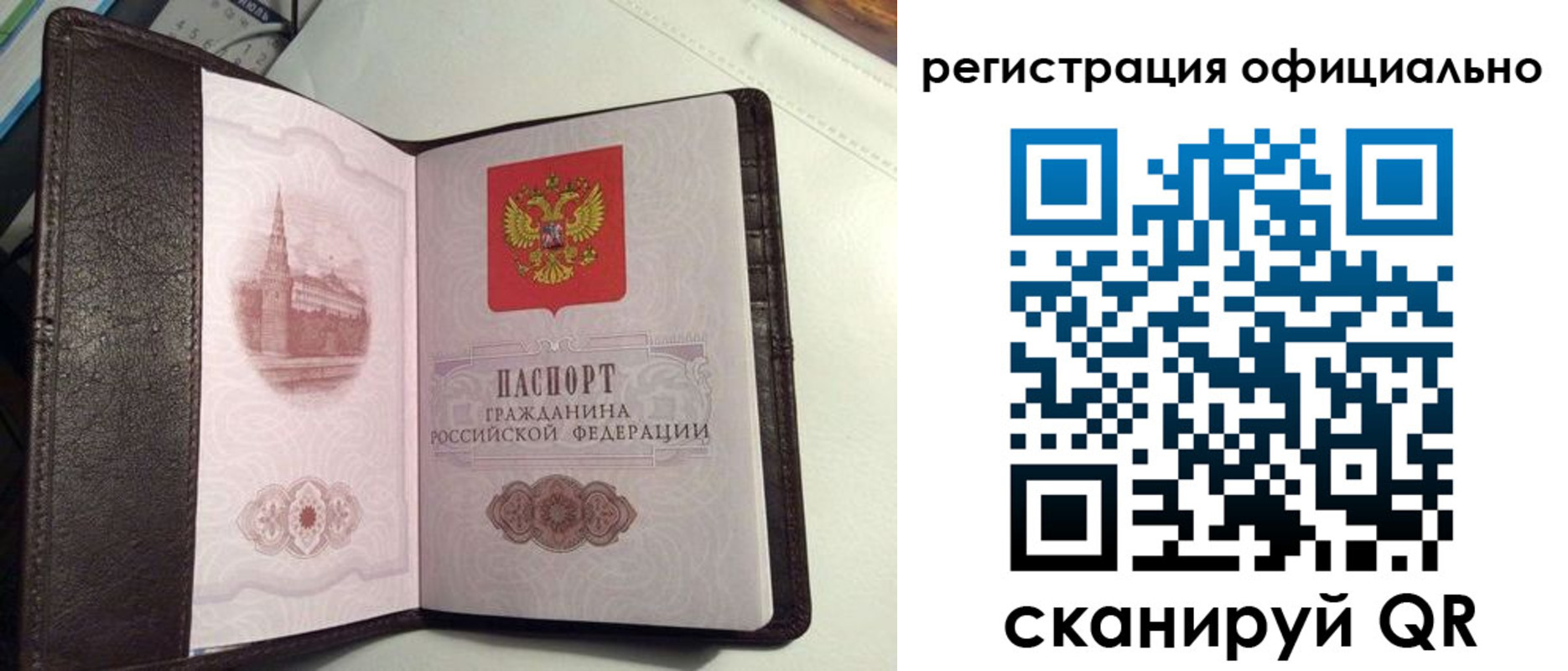 прописка ребенка в Ершове
